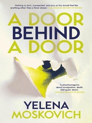 cover image of A Door Behind a Door